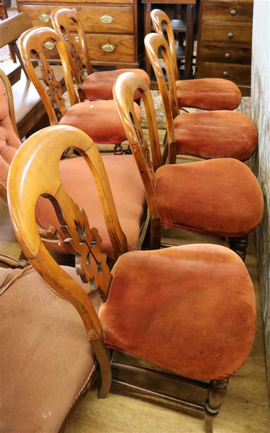 Set of six Victorian beech parlour chairs